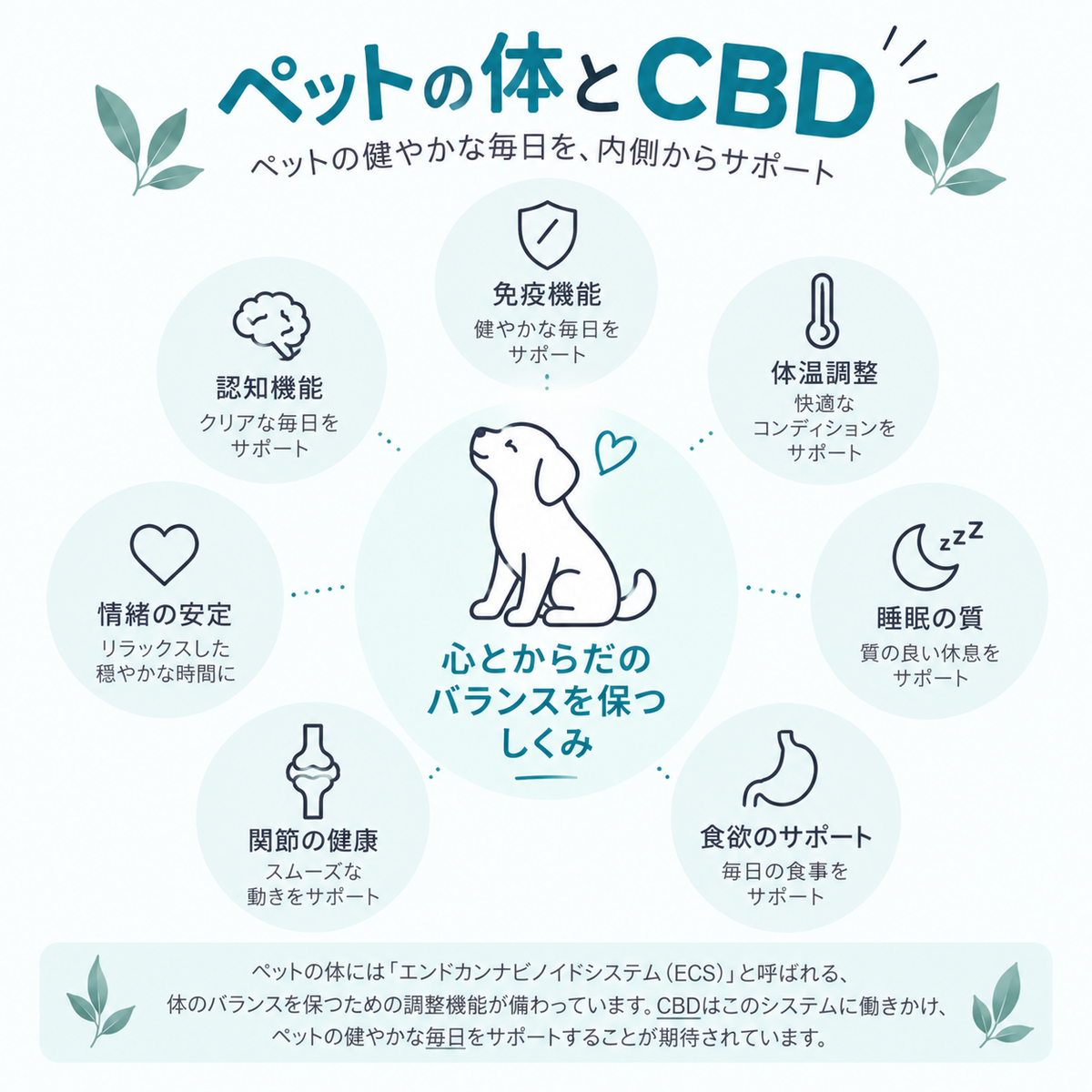Hempets® PRO 170|犬・猫用 CBDオイル