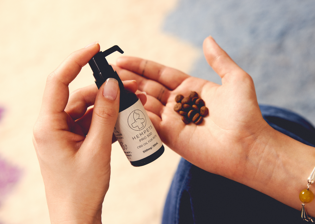 海外のCBD事情・ペットケア最前線