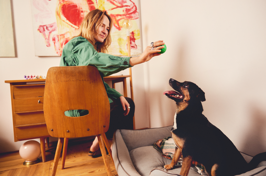 愛犬と過ごす 季節の変わり目に気をつけたいこと