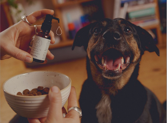 そのCBD、本当に効いている？CBDオイルの種類と特徴！