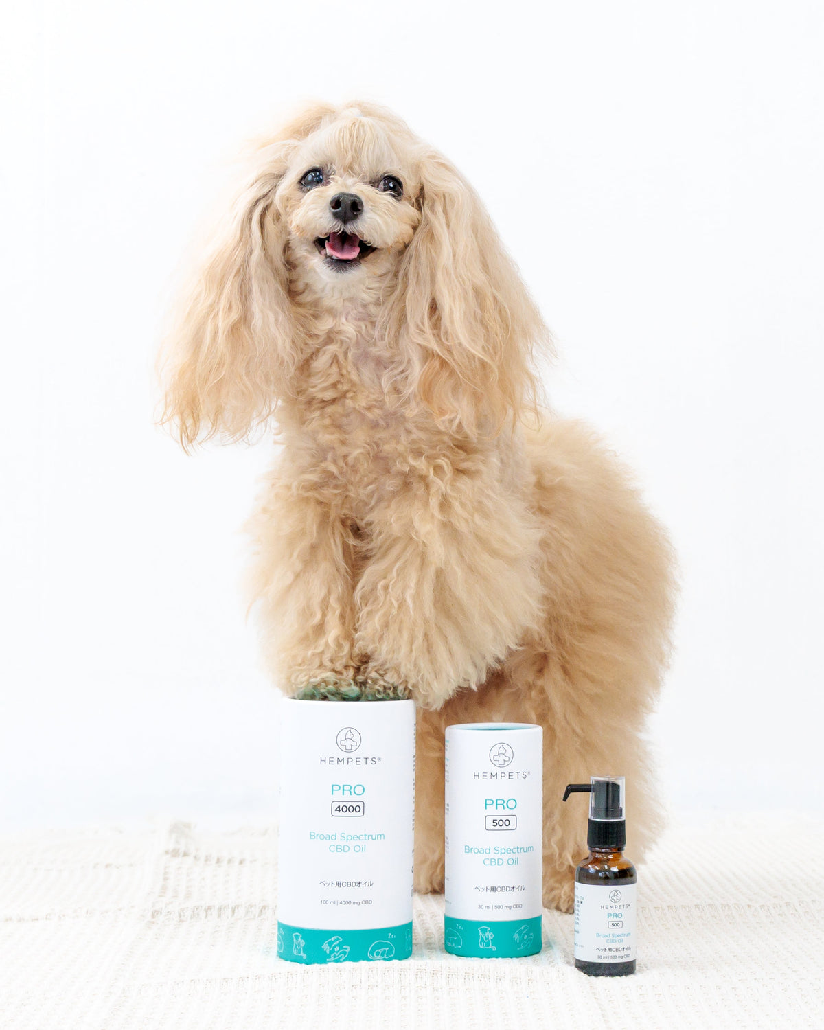 Hempets® PRO 4000｜犬・猫用 CBDオイル