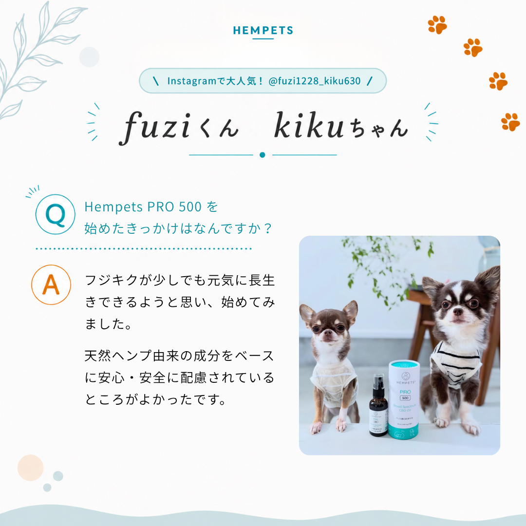 Hempets® PRO 500｜犬・猫用 CBDオイル