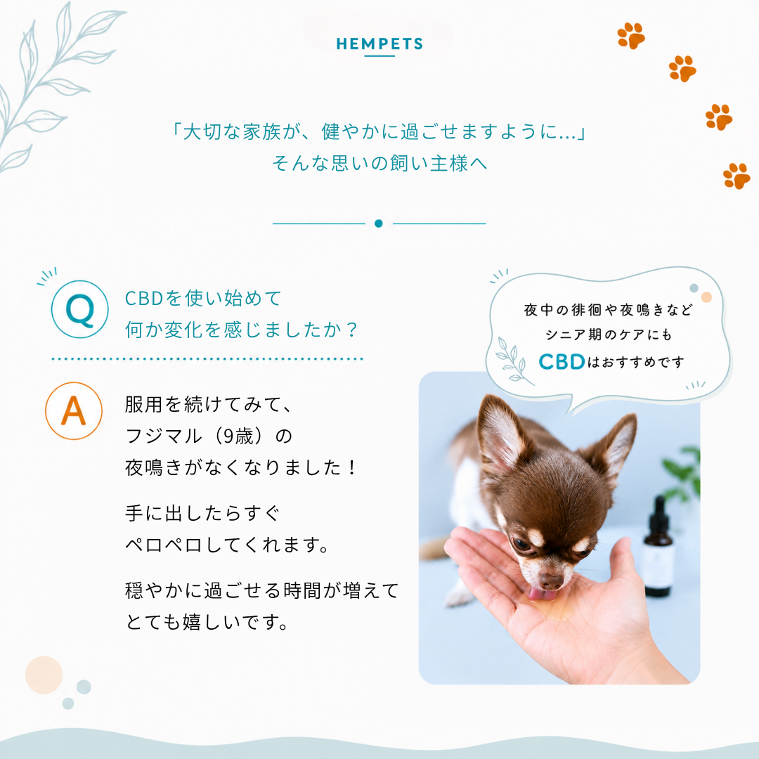 Hempets® PRO 500｜犬・猫用 CBDオイル