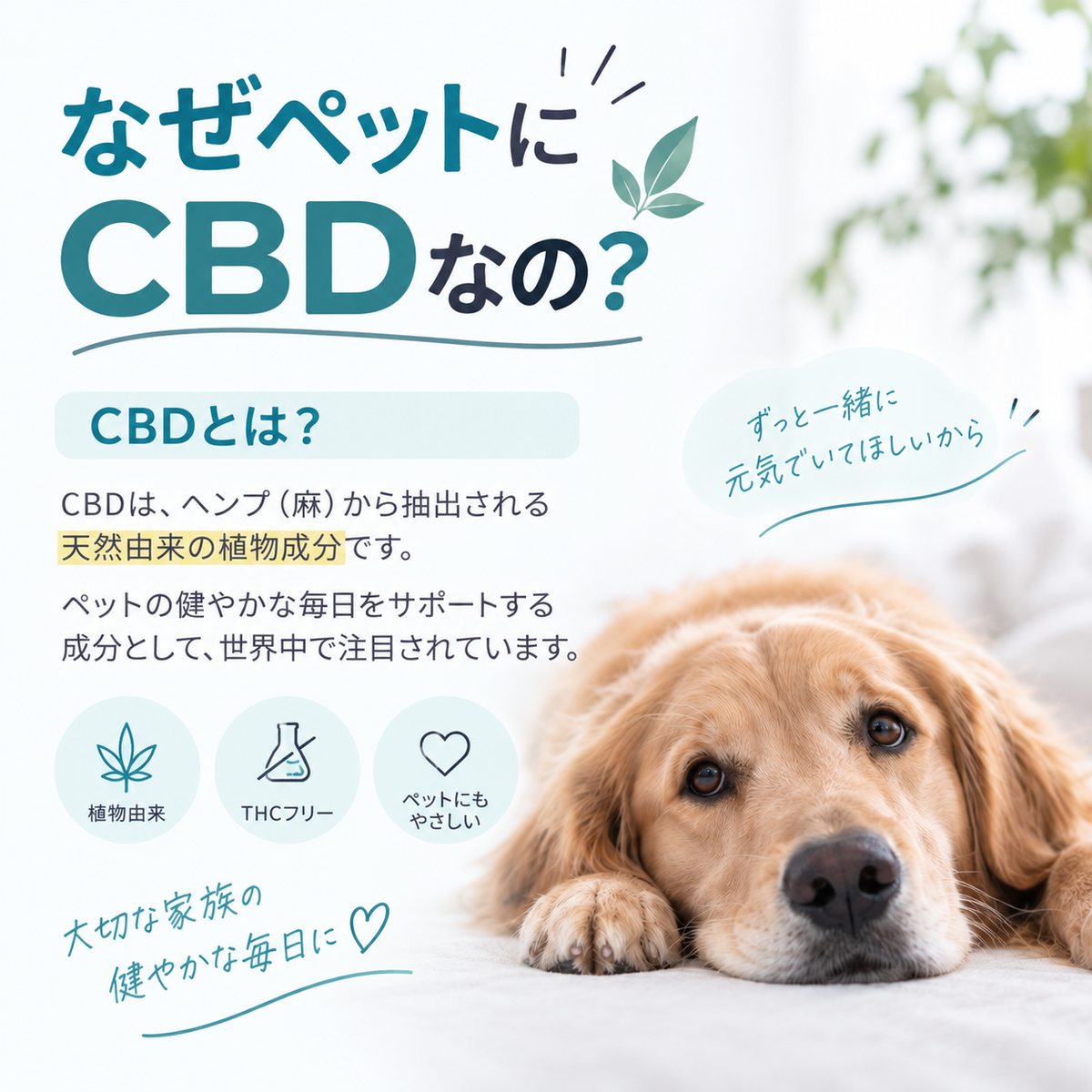 Hempets® PRO 170｜犬・猫用 CBDオイル