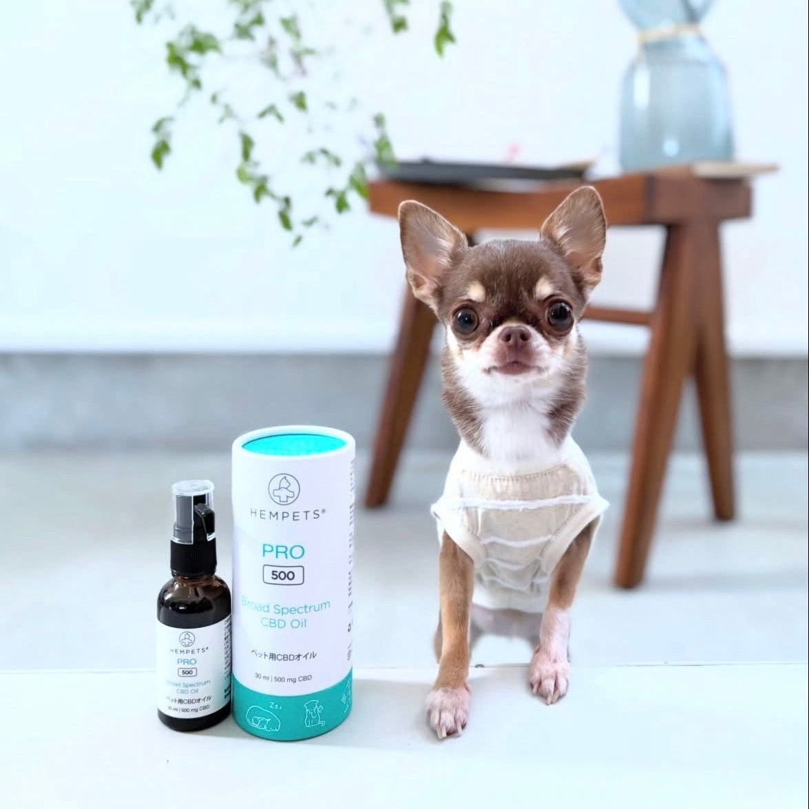 Hempets® PRO 500｜犬・猫用 CBDオイル